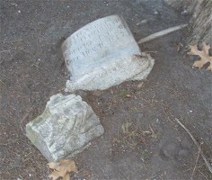 William Leo Freienmuth