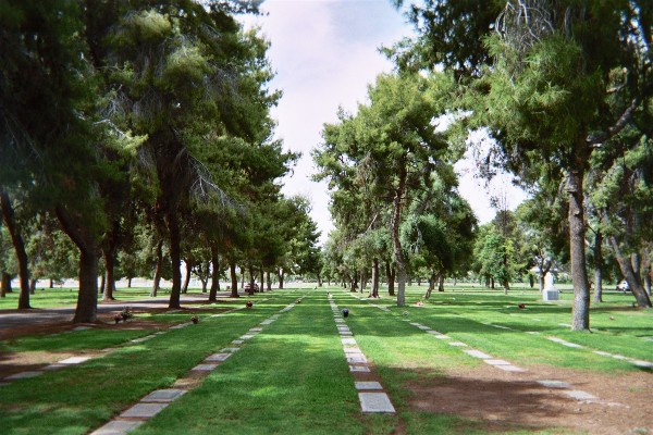 Greenwood Memory Lawn