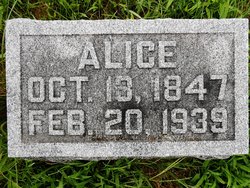 Alice Story