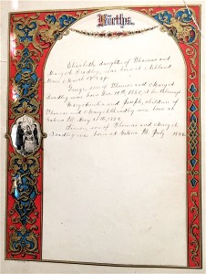 Bradley Bible Births